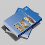 جلد کتاب مرمت شهری - حبیبی